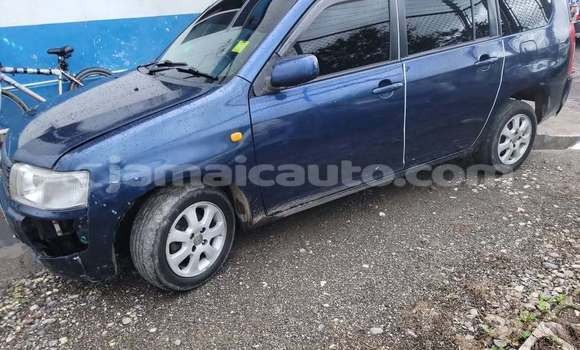 Buy Used Toyota Probox Blue Car in Mandeville in Manchester Buy Used Toyota Probox Blue Car in Mandeville in Manchester