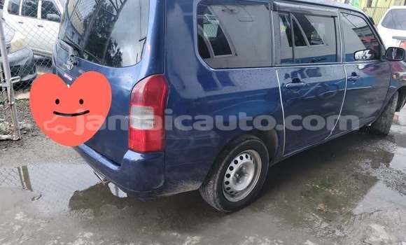 Buy Used Toyota Probox Blue Car in Mandeville in Manchester Buy Used Toyota Probox Blue Car in Mandeville in Manchester