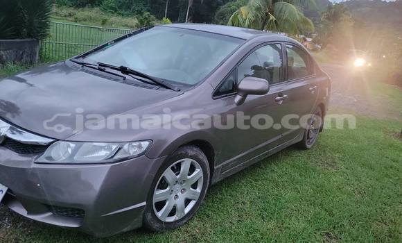 Buy Used Honda Civic Other Car in Mandeville in Manchester Buy Used Honda Civic Other Car in Mandeville in Manchester