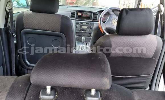 Buy Used Toyota Axio Other Car in Mandeville in Manchester Buy Used Toyota Axio Other Car in Mandeville in Manchester