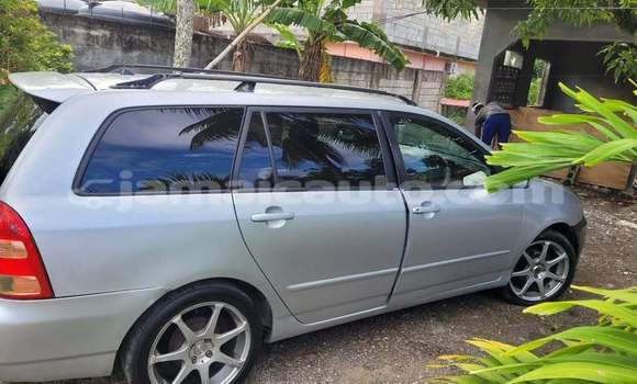 Buy Used Toyota Axio Other Car in Mandeville in Manchester Buy Used Toyota Axio Other Car in Mandeville in Manchester