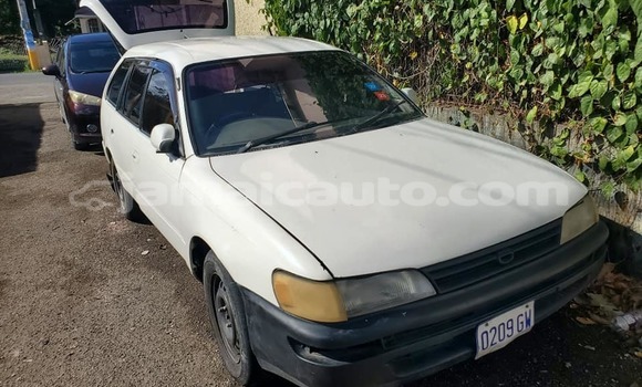 Buy Used Toyota Wish White Car in Kingston in Kingston Buy Used Toyota Wish White Car in Kingston in Kingston