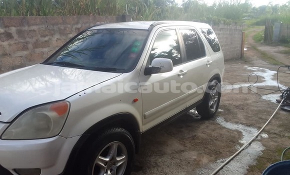 Buy Used Honda CR–V White Car in Import - Dubai in Clarendon Buy Used Honda CR–V White Car in Import - Dubai in Clarendon