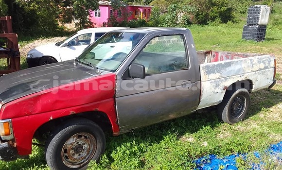 Buy Used Nissan Pickup Other Car in Mandeville in Manchester Buy Used Nissan Pickup Other Car in Mandeville in Manchester