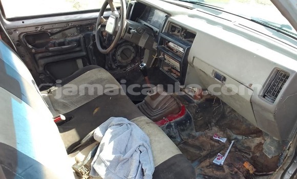 Buy Used Nissan Pickup Other Car in Mandeville in Manchester Buy Used Nissan Pickup Other Car in Mandeville in Manchester