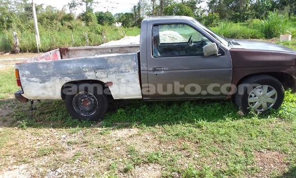 Buy Used Nissan Pickup Other Car in Mandeville in Manchester Buy Used Nissan Pickup Other Car in Mandeville in Manchester