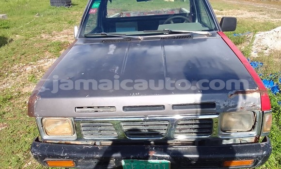Buy Used Nissan Pickup Other Car in Mandeville in Manchester Buy Used Nissan Pickup Other Car in Mandeville in Manchester