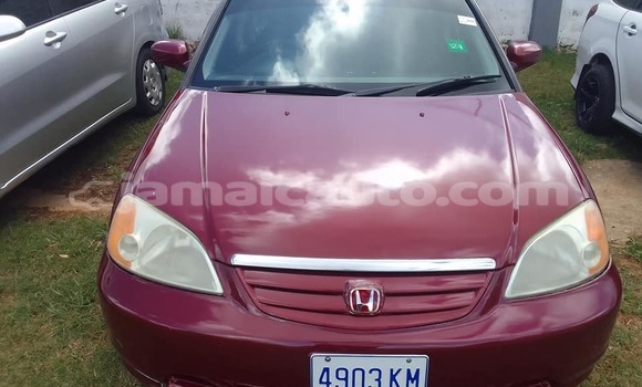 Buy Used Honda Civic Red Car in Mandeville in Manchester Buy Used Honda Civic Red Car in Mandeville in Manchester