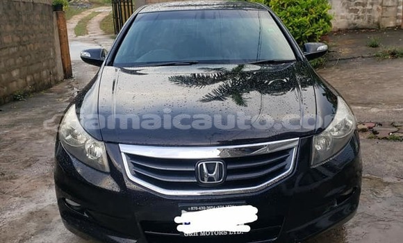 Buy Used Honda Inspire Black Car in Port Antonio in Portland