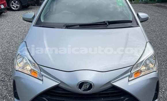 Buy Used Toyota Vitz Other Car in Mandeville in Manchester