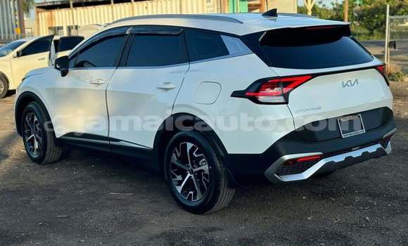 Acheter Occasion Voiture Kia Sportage Blanc à Lucea, Hanover Acheter Occasion Voiture Kia Sportage Blanc à Lucea, Hanover