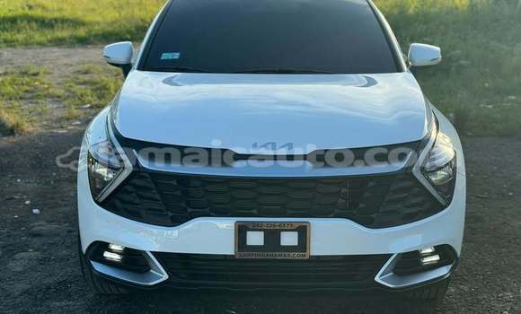 Acheter Occasion Voiture Kia Sportage Blanc à Lucea, Hanover Acheter Occasion Voiture Kia Sportage Blanc à Lucea, Hanover