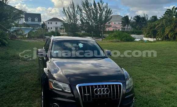 Buy Used Audi Q5 Black Car in Lucea in Hanover