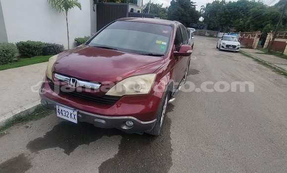 Buy Used Honda CR–V Red Car in Port Antonio in Portland Buy Used Honda CR–V Red Car in Port Antonio in Portland