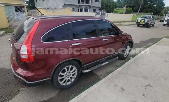 Acheter Occasion Voiture Honda CR–V Rouge à Port Antonio, Portland Acheter Occasion Voiture Honda CR–V Rouge à Port Antonio, Portland