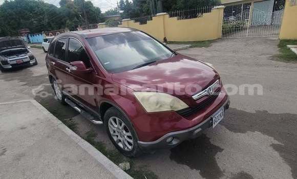 Acheter Occasion Voiture Honda CR–V Rouge à Port Antonio, Portland Acheter Occasion Voiture Honda CR–V Rouge à Port Antonio, Portland