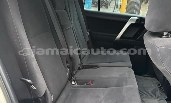 Buy Used Toyota Prado White Car in Mandeville in Manchester Buy Used Toyota Prado White Car in Mandeville in Manchester