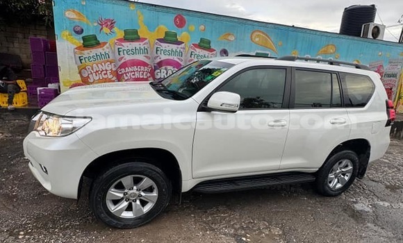 Buy Used Toyota Prado White Car in Mandeville in Manchester Buy Used Toyota Prado White Car in Mandeville in Manchester