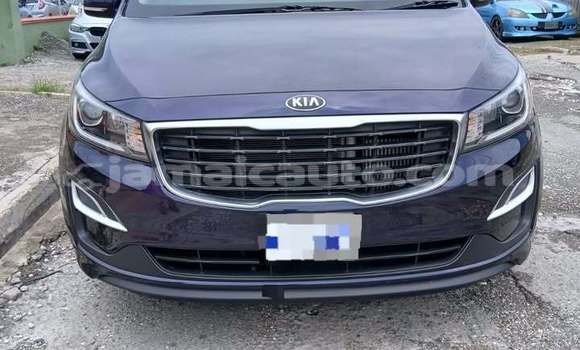Buy Used Kia Carnival Black Car in Mandeville in Manchester