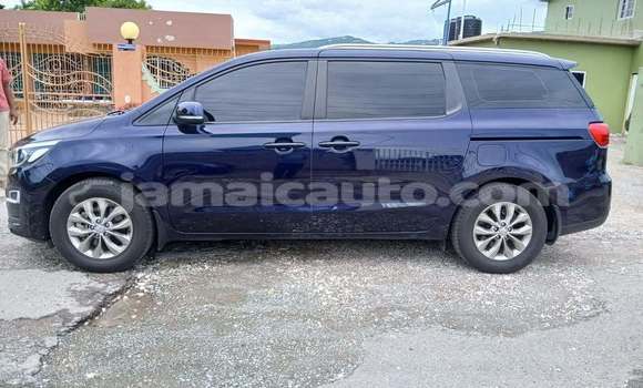 Buy Used Kia Carnival Black Car in Mandeville in Manchester Buy Used Kia Carnival Black Car in Mandeville in Manchester