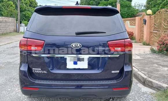 Buy Used Kia Carnival Black Car in Mandeville in Manchester Buy Used Kia Carnival Black Car in Mandeville in Manchester