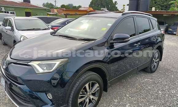 Buy Used Toyota RAV4 Black Car in Mandeville in Manchester Buy Used Toyota RAV4 Black Car in Mandeville in Manchester