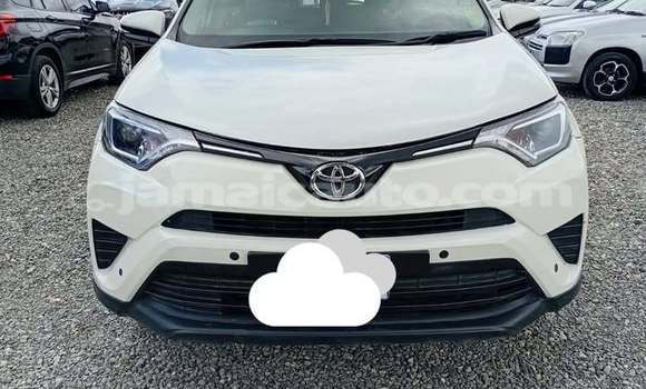 Buy Used Toyota RAV4 White Car in Mandeville in Manchester Buy Used Toyota RAV4 White Car in Mandeville in Manchester