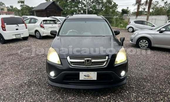 Buy Used Honda CR–V Black Car in Port Antonio in Portland Buy Used Honda CR–V Black Car in Port Antonio in Portland