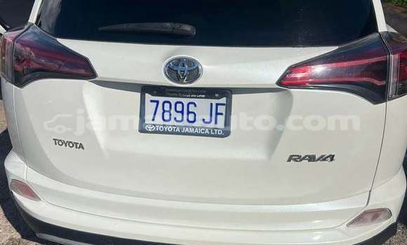 Buy Used Toyota RAV4 White Car in Import - Dubai in Clarendon Buy Used Toyota RAV4 White Car in Import - Dubai in Clarendon