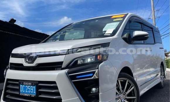 Acheter Occasion Voiture Toyota Voxy Blanc à Kingston, Kingston