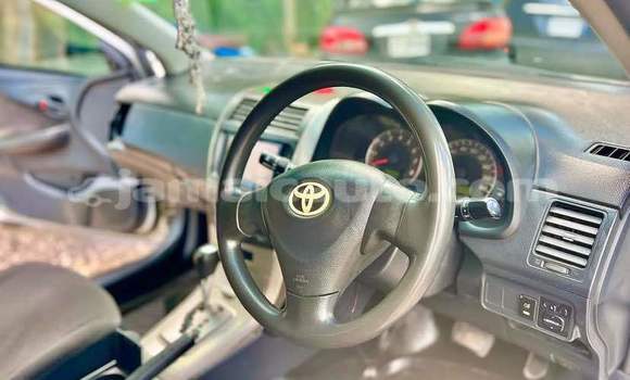 Acheter Occasion Voiture Toyota Axio Autre à Kingston, Kingston Acheter Occasion Voiture Toyota Axio Autre à Kingston, Kingston