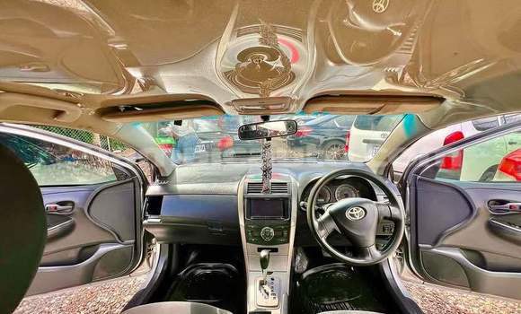 Acheter Occasion Voiture Toyota Axio Autre à Kingston, Kingston Acheter Occasion Voiture Toyota Axio Autre à Kingston, Kingston