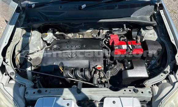 Acheter Occasion Voiture Toyota Probox Autre à Kingston, Kingston Acheter Occasion Voiture Toyota Probox Autre à Kingston, Kingston