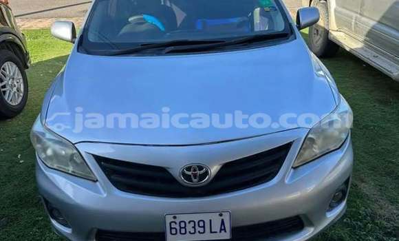 Buy Used Toyota Corolla Other Car in Kingston in Kingston