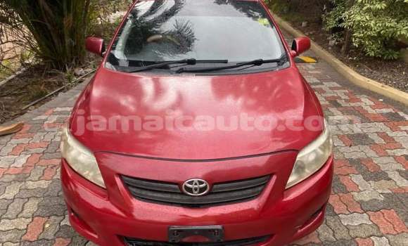 Buy Used Toyota Corolla Red Car in Kingston in Kingston Buy Used Toyota Corolla Red Car in Kingston in Kingston