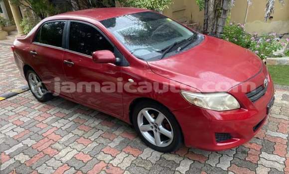 Acheter Occasion Voiture Toyota Corolla Rouge à Kingston, Kingston Acheter Occasion Voiture Toyota Corolla Rouge à Kingston, Kingston