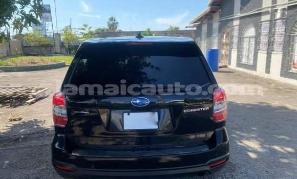 Buy Used Subaru Forester Black Car in Kingston in Kingston
