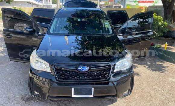Acheter Occasion Voiture Subaru Forester Noir à Kingston, Kingston Acheter Occasion Voiture Subaru Forester Noir à Kingston, Kingston