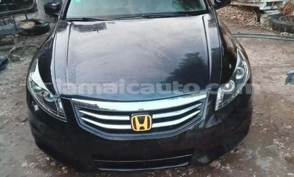 Buy Used Honda Accord Black Car in Kingston in Kingston Buy Used Honda Accord Black Car in Kingston in Kingston