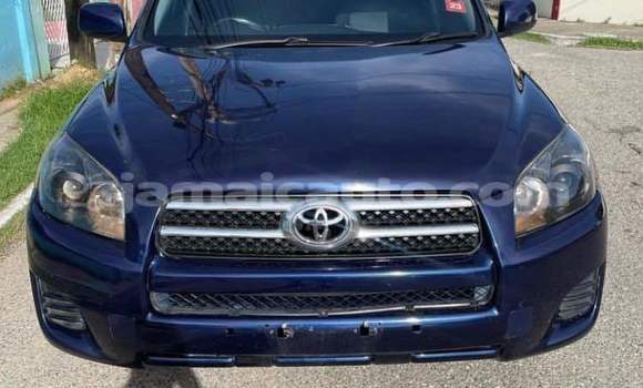 Buy Used Toyota RAV4 Black Car in Kingston in Kingston Buy Used Toyota RAV4 Black Car in Kingston in Kingston