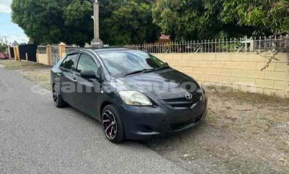 Buy Used Toyota Alphard Other Car in Lucea in Hanover