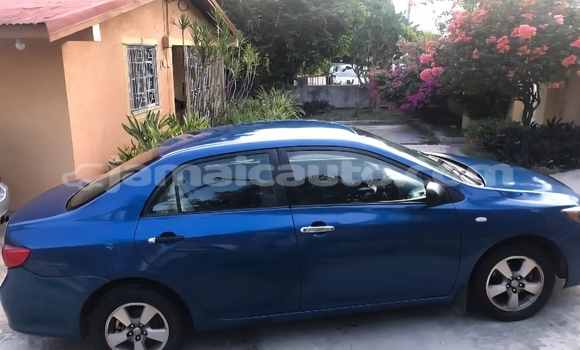Acheter Occasion Voiture Toyota Corolla Bleu à May Pen, Clarendon Acheter Occasion Voiture Toyota Corolla Bleu à May Pen, Clarendon