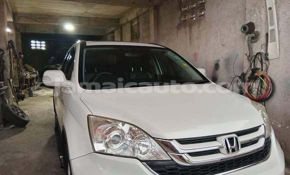 Buy Used Honda CR–V White Car in Import - Dubai in Clarendon Buy Used Honda CR–V White Car in Import - Dubai in Clarendon