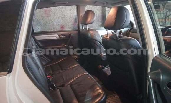 Buy Used Honda CR–V White Car in Import - Dubai in Clarendon Buy Used Honda CR–V White Car in Import - Dubai in Clarendon