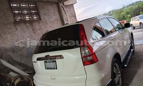 Buy Used Honda CR–V White Car in Import - Dubai in Clarendon Buy Used Honda CR–V White Car in Import - Dubai in Clarendon