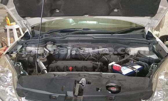 Buy Used Honda CR–V White Car in Import - Dubai in Clarendon Buy Used Honda CR–V White Car in Import - Dubai in Clarendon