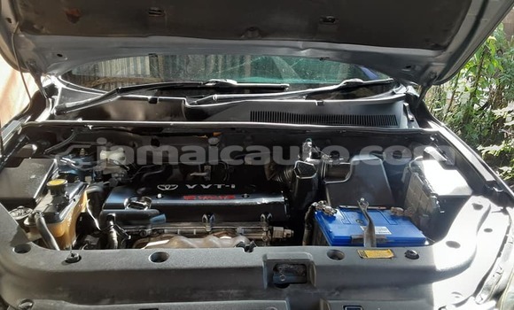 Buy Used Toyota RAV4 Blue Car in Port Antonio in Portland Buy Used Toyota RAV4 Blue Car in Port Antonio in Portland