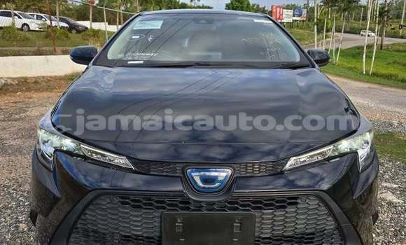 Buy Used Toyota Corolla Black Car in Lucea in Hanover
