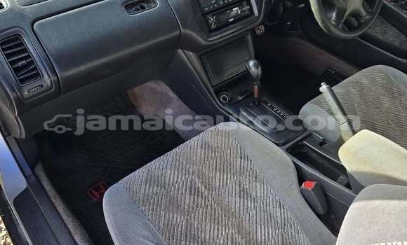 Buy Used Honda Accord Other Car in Falmouth in Trelawney Buy Used Honda Accord Other Car in Falmouth in Trelawney