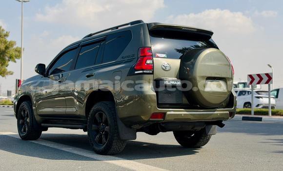 Buy Used Toyota Land Cruiser Prado Green Car in Import - Dubai in Clarendon Buy Used Toyota Land Cruiser Prado Green Car in Import - Dubai in Clarendon